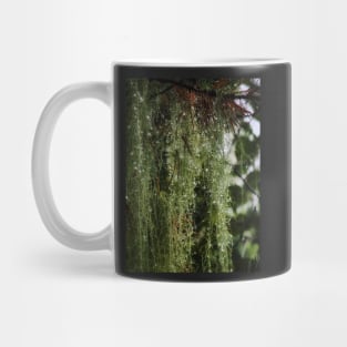 Rainy Spanish Moss Mug